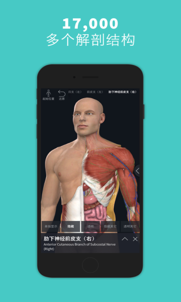 Complete Anatomyİͼ1