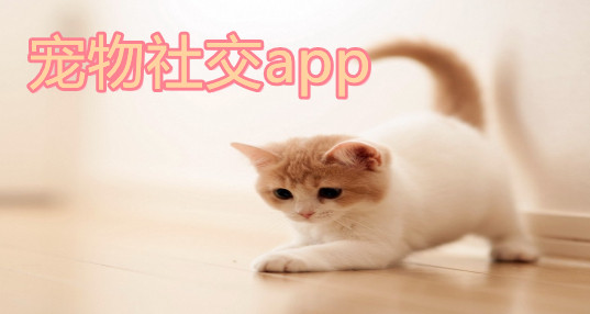 罻app_罻ƽ̨