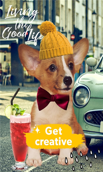 dog photo editor׿