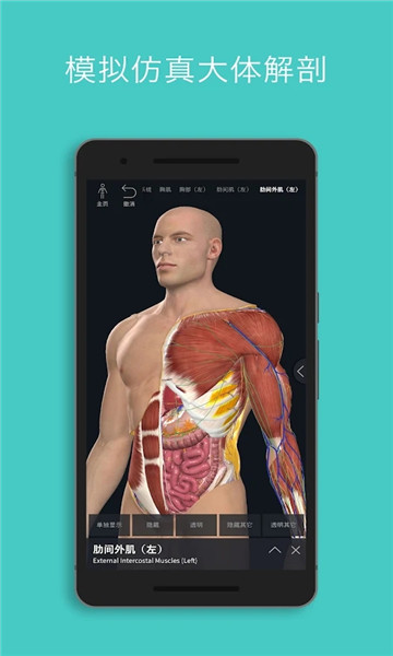 complete anatomy 2024ٷͼ1