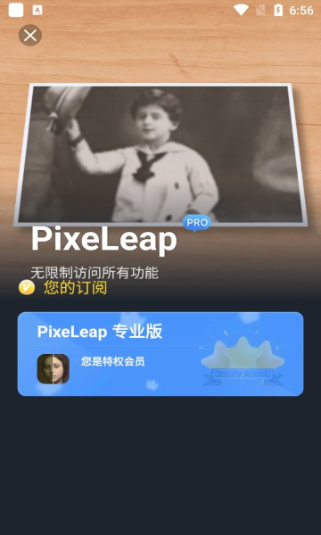 PixeLeapƬ޸Ѱappͼ0