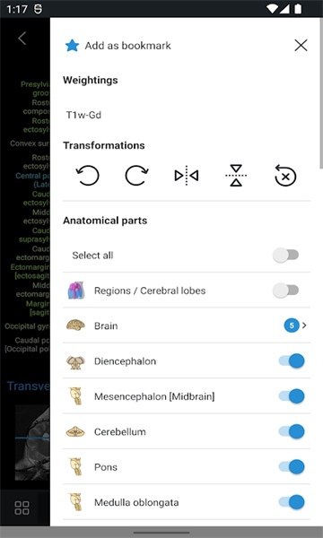 vet Anatomy