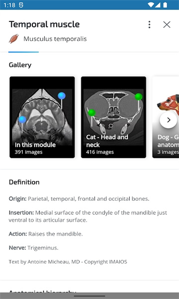 vet Anatomyͼ0