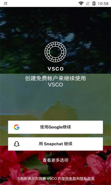 vsco°2025ͼ1