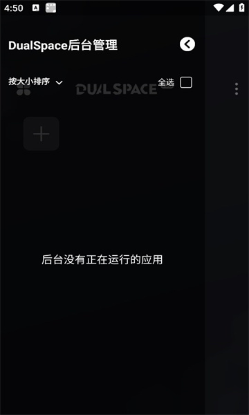 dualspace proװͼ1