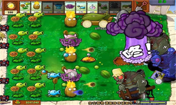 pvzֲֻ(plantsvszombiesfree)