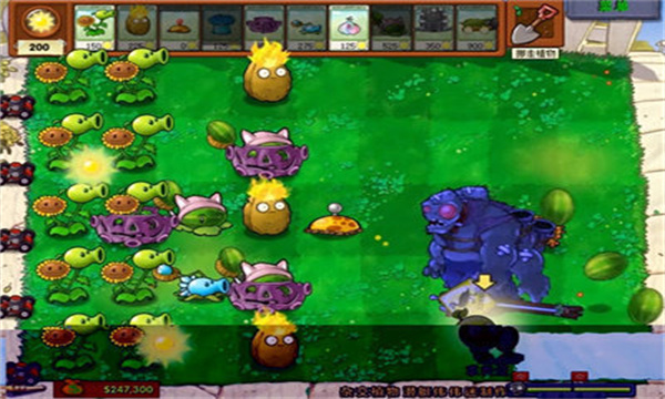 pvzֲֻ(plantsvszombiesfree)ͼ1