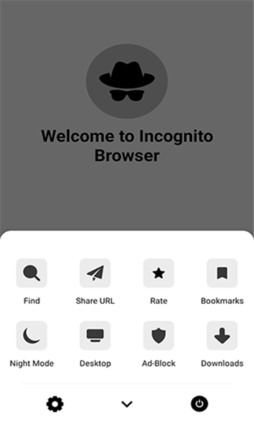 incognito browser˽ͼ2