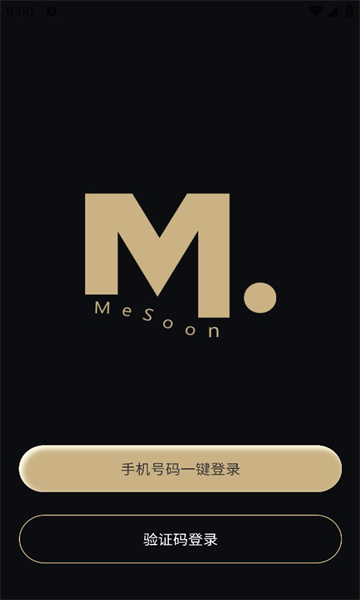 mesoonappͼ1