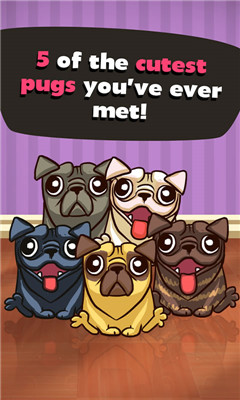 С(puzzle pug)ͼ0