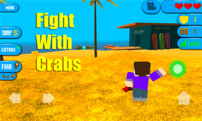 ɳ̲֮(steve on the beach)ͼ5
