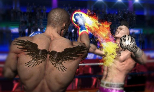 ȭ֮(punch boxing)ͼ3