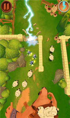 С(wonder wool)ͼ1