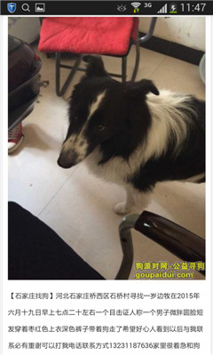 Ѱ����ʾ(��ѷ���ƽ̨)��ͼ3