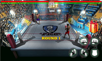ȭʿ֮(boxing fighter king)ͼ1