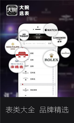 ����ѡ��(�ֱ�����ƽ̨)��ͼ1