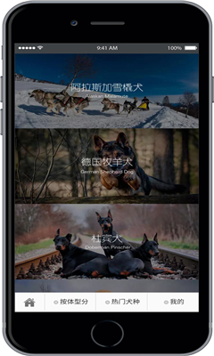 ��ʱ��(���ֹ�����ƽ̨)��ͼ2