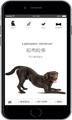 ��ʱ��(���ֹ�����ƽ̨)��ͼ3