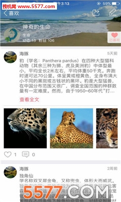 ����(ϲ������)��ͼ2