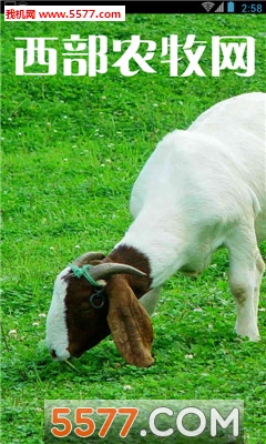 ũappͼ1