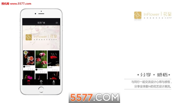 �����ٷ���(������ƹ���)��ͼ2