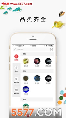 �����̳��ֻ���(���ѽ���)��ͼ0