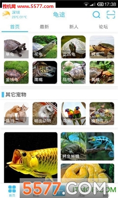 ;ֻ(罻)ͼ3