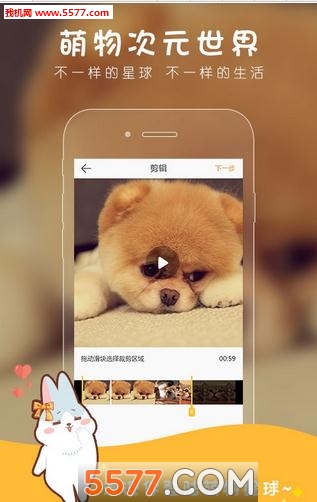 ��������(�����罻)��ͼ0