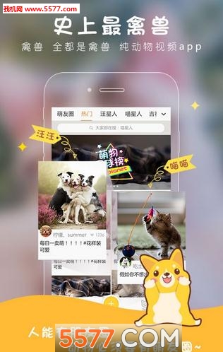 ��������(�����罻)��ͼ2