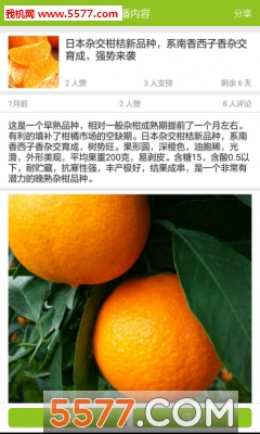 ��������ٷ����ͼ2