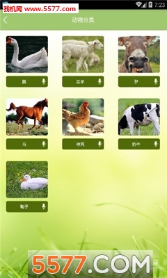 ģͼ1
