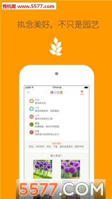 �����ݲ�(��֮���ֻ���)��ͼ2