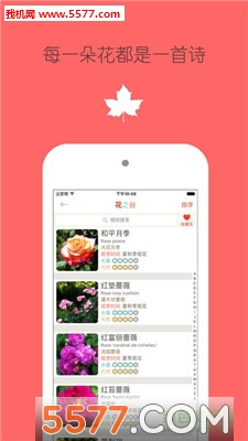 �����ݲ�(��֮���ֻ���)��ͼ1