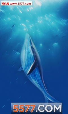 ͼ2