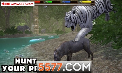JungleSim(ռģⰲ׿)ͼ1
