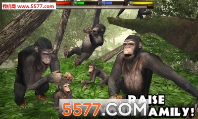 JungleSim(ռģⰲ׿)ͼ2