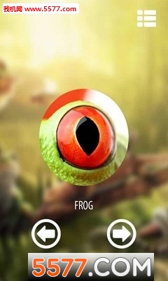 Vision animal simulator(Ӿ)ͼ2