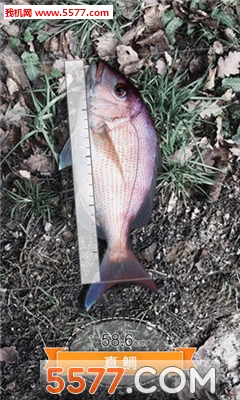 ��������׿���ͼ1