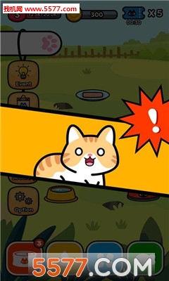 Taming a stray cat(ѱè׿)ͼ0