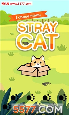 Taming a stray cat(ѱè׿)ͼ1