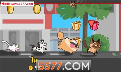 Pets Race(׿)ͼ0