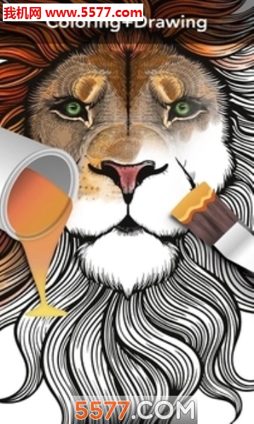 Colouring(ɫٷ)ͼ3
