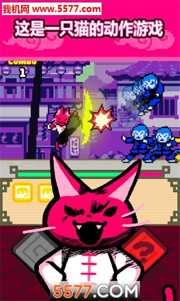 KungFuCat׿ͼ0