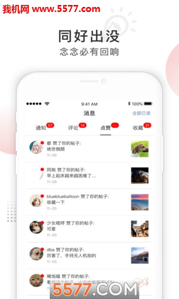 Ta�ڹٷ����ͼ0