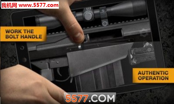 ǹ֧ģ����2������