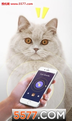 Cat Toys 3d(è)ͼ0