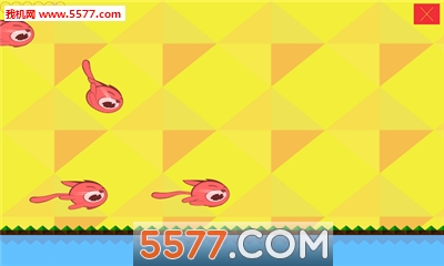 Splash Kitten(ɽСè׿)ͼ2