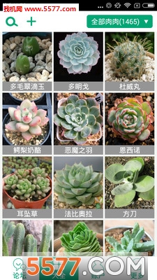 ����ֲ��ٷ����ͼ2