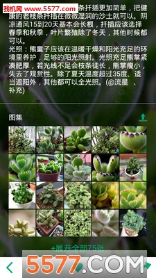 ����ֲ��ٷ����ͼ4