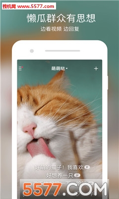 ʵֻͼ1